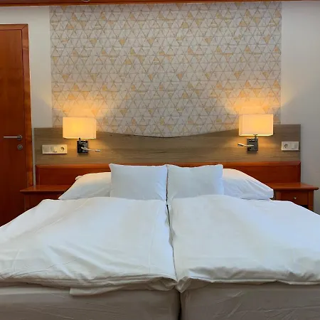 Gizella And Restaurant Hotell 3*