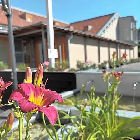 Gizella And Restaurant Hotel Veszprem